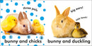 Baby Touch and Feel: Bunny US - Board book