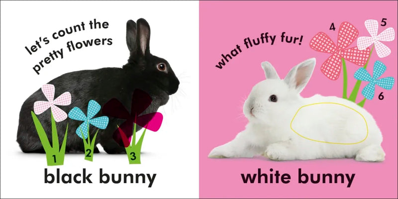 Baby Touch and Feel: Bunny US - Board book