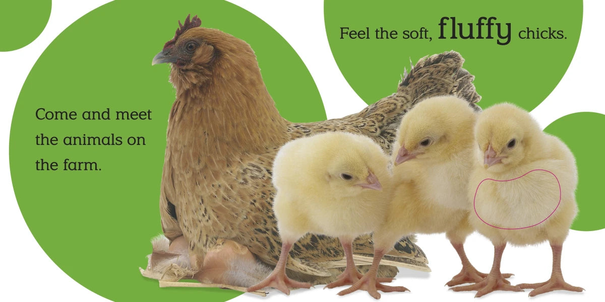 Touch and Feel: Farm US - Board book