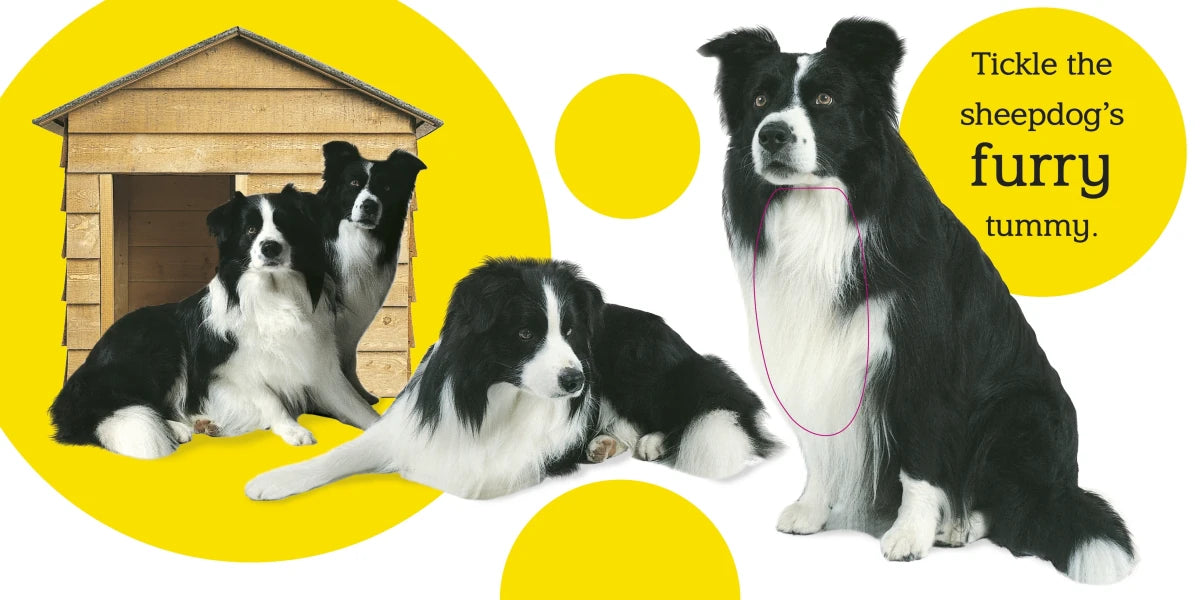 Touch and Feel: Farm US - Board book