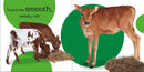 Touch and Feel Baby Animals US - Board book (9780756689919)