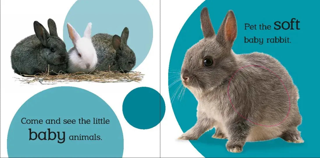 Touch and Feel Baby Animals US - Board book (9780756689919)