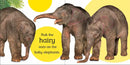 Touch and Feel Baby Animals US - Board book (9780756689919)