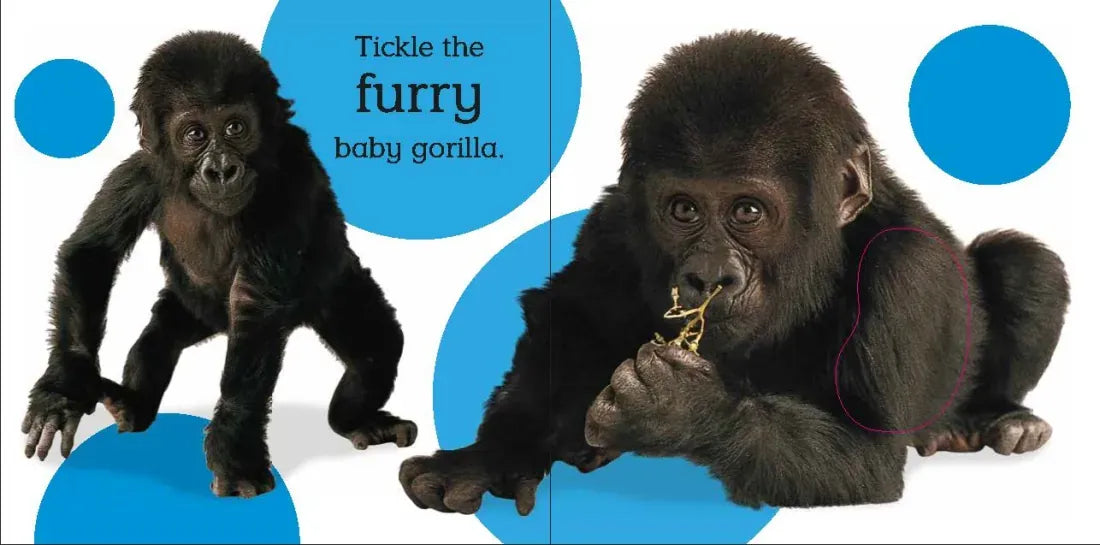 Touch and Feel Baby Animals US - Board book (9780756689919)