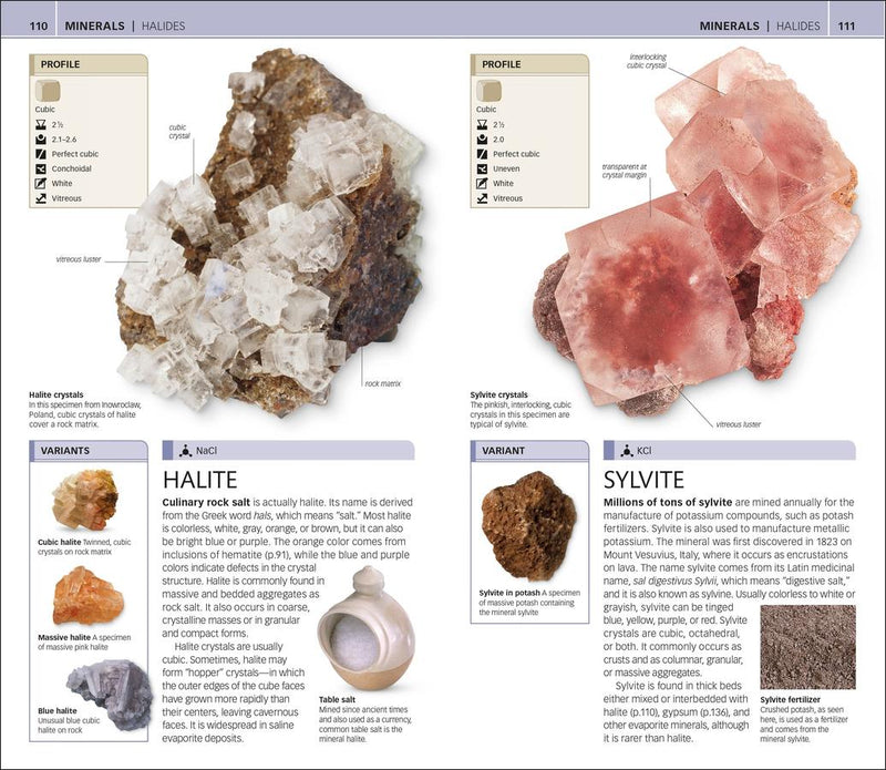 Nature Guide: Rocks and Minerals US - Book