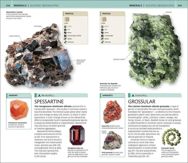 Nature Guide: Rocks and Minerals US - Book