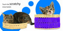 Touch and Feel: Kitten US - Board book