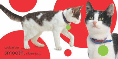 Touch and Feel: Kitten US - Board book