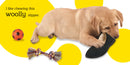 Touch and Feel: Puppy US - Board book