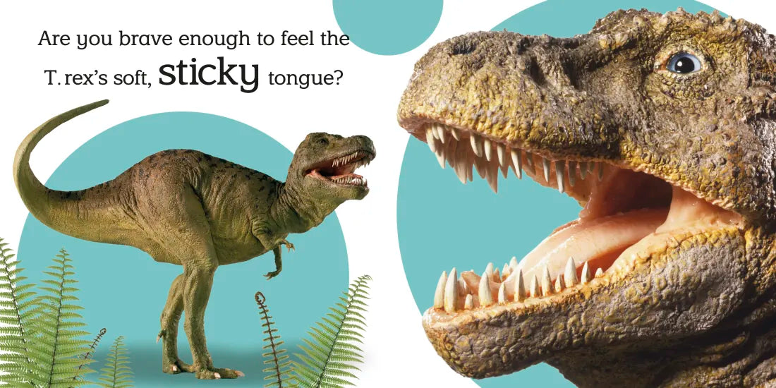 Touch and Feel: Dinosaur US - Board book