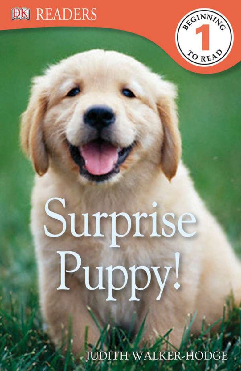 DK Readers L1: Surprise Puppy-Children’s / Teenage general interest: Nature and animals-買書書 BuyBookBook