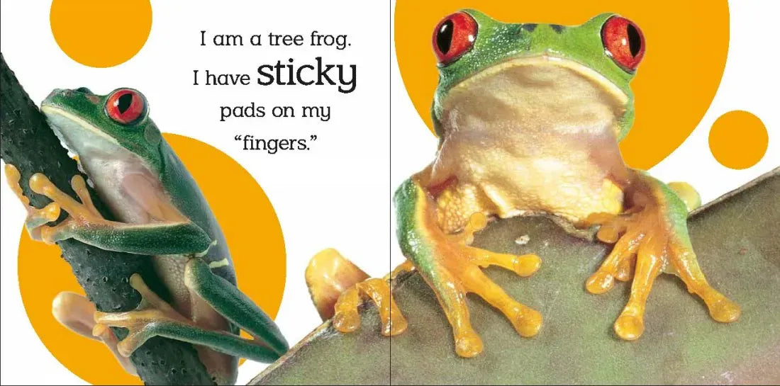 Touch and Feel: Wild Animals US - Board book