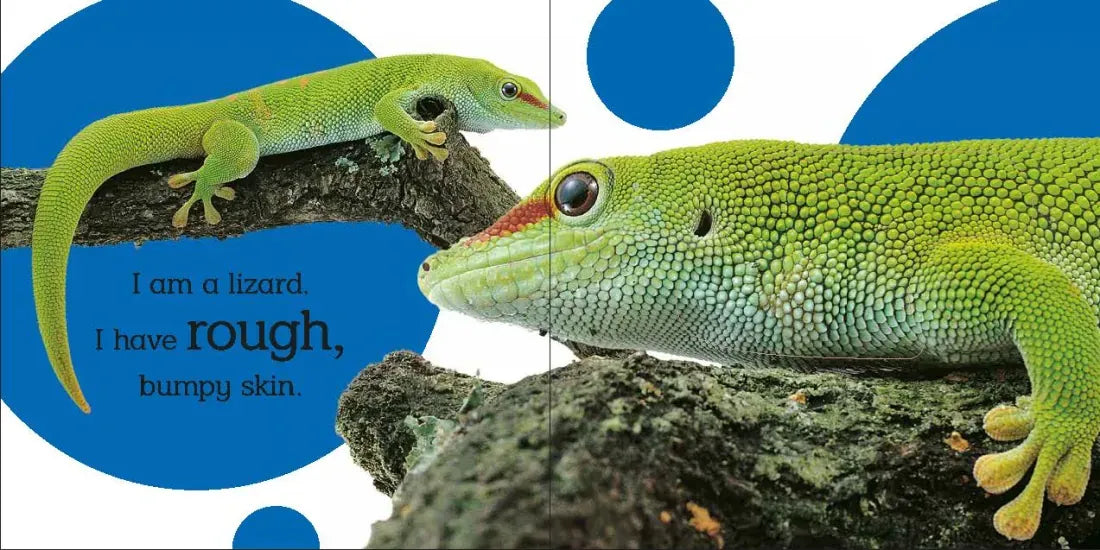 Touch and Feel: Wild Animals US - Board book