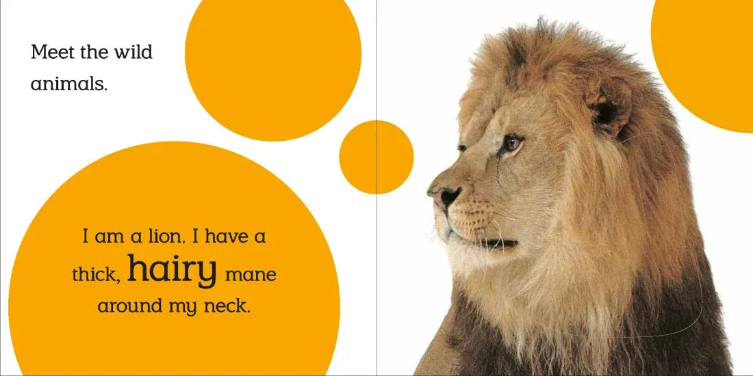 Touch and Feel: Wild Animals US - Board book
