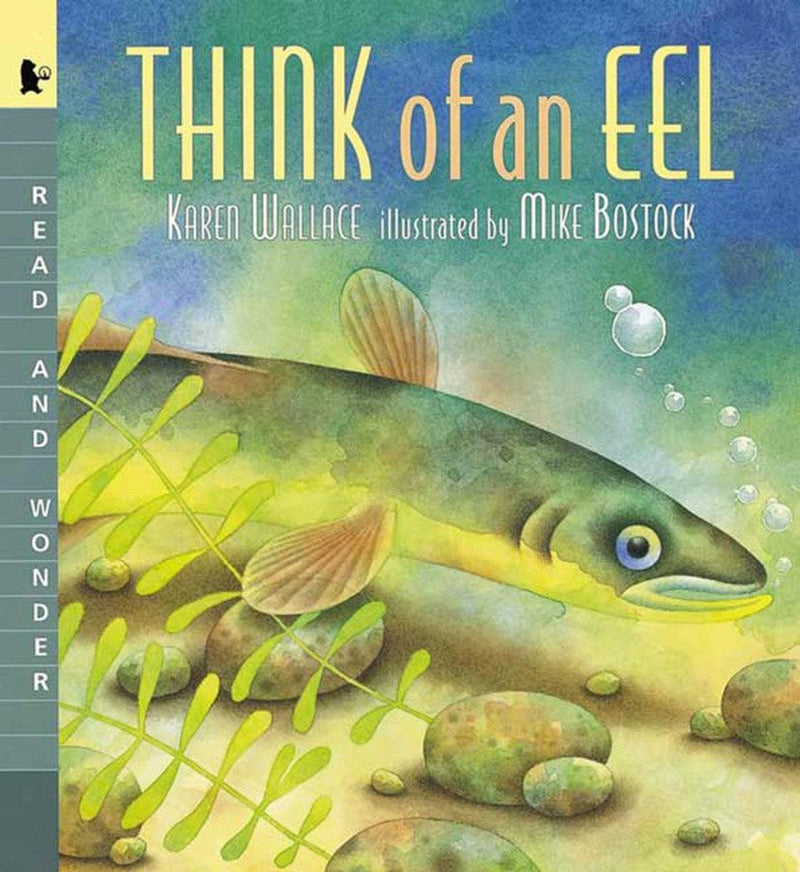 Think of an Eel-Children’s / Teenage general interest: Nature and animals-買書書 BuyBookBook