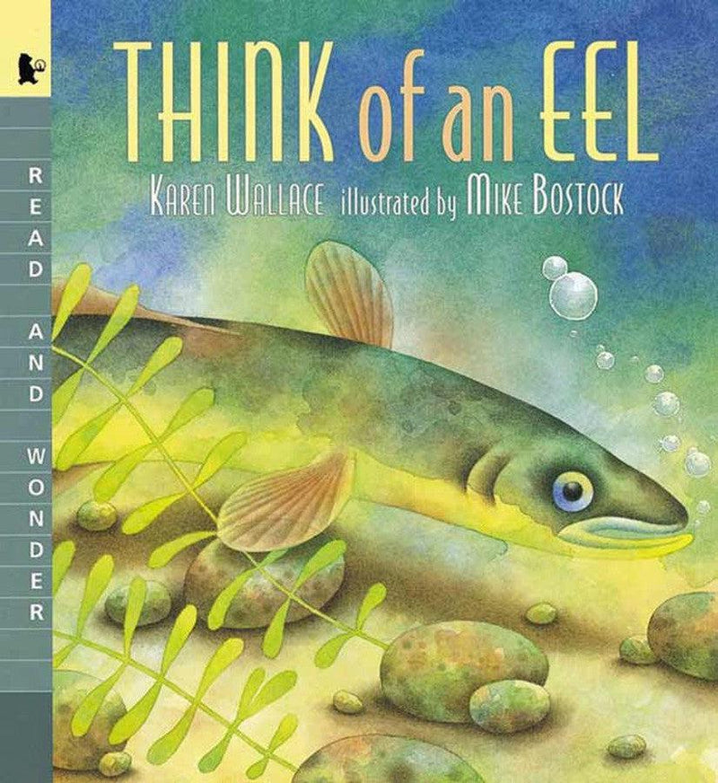 Think of an Eel Big Book-Children’s / Teenage general interest: Nature and animals-買書書 BuyBookBook