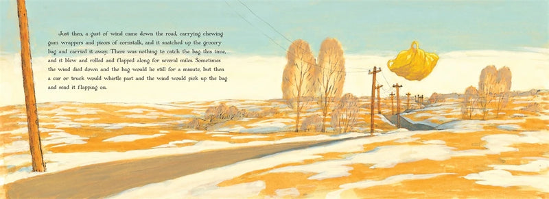 Bag in the Wind US - Hardback