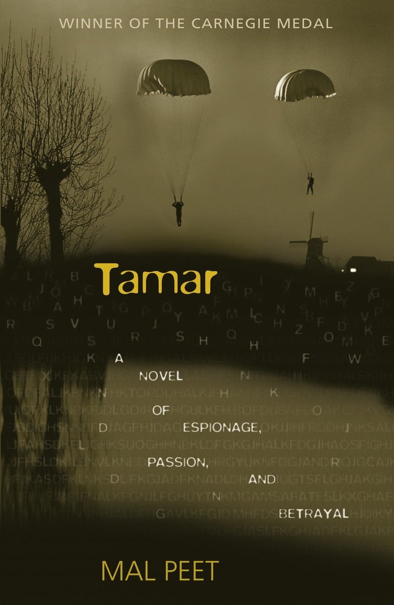 Tamar-Children’s / Teenage fiction: Biographical/ historical fiction and true stories-買書書 BuyBookBook