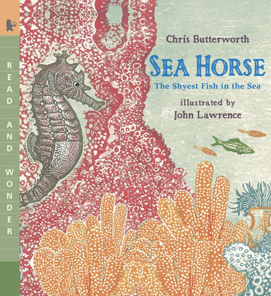 Sea Horse: The Shyest Fish in the Sea-Children’s / Teenage general interest: Nature and animals-買書書 BuyBookBook
