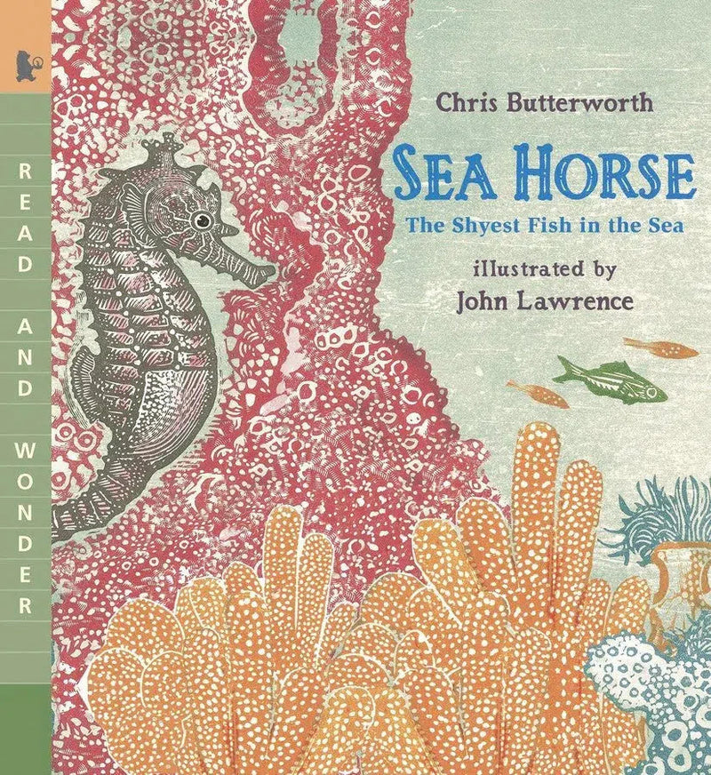 Sea Horse-Children’s / Teenage general interest: Nature and animals-買書書 BuyBookBook