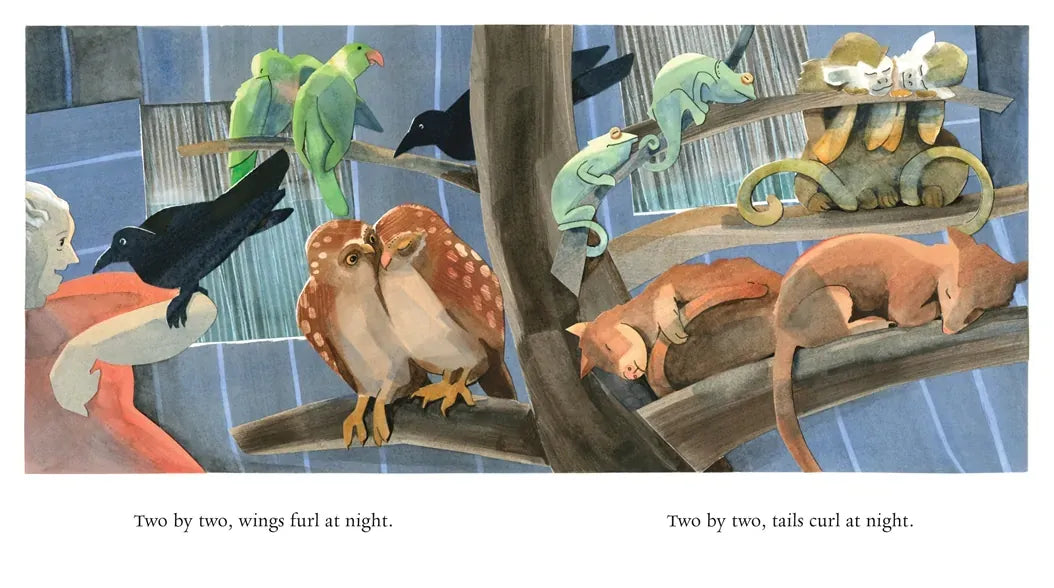 Naamah and the Ark at Night US - Hardback