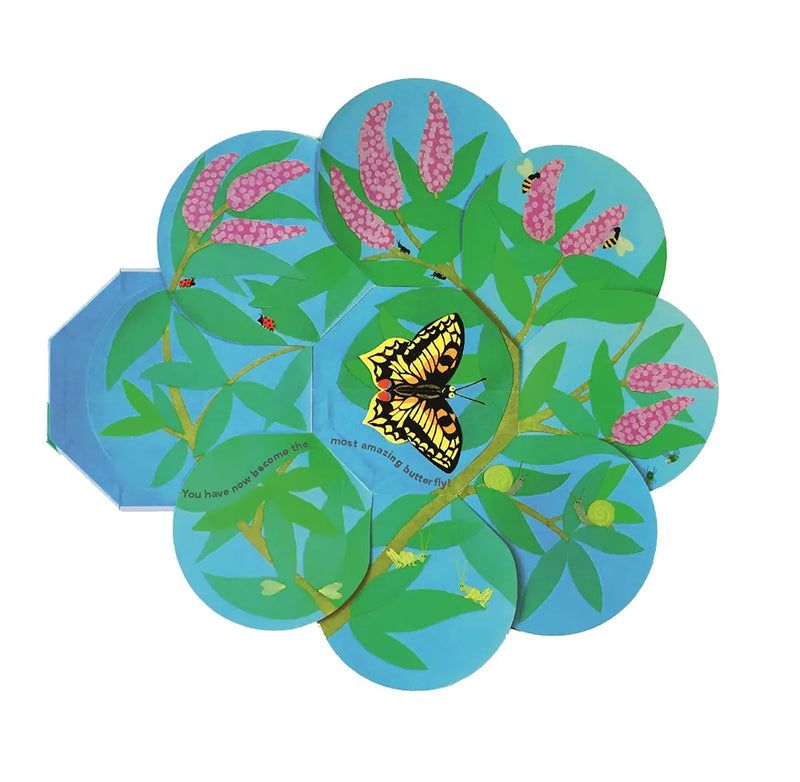 Caterpillar to Butterfly: Fold Out and Find Out US - Hardback