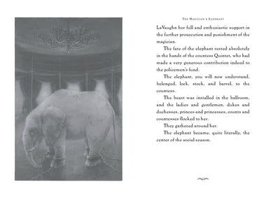 The Magician's Elephant US - Hardback
