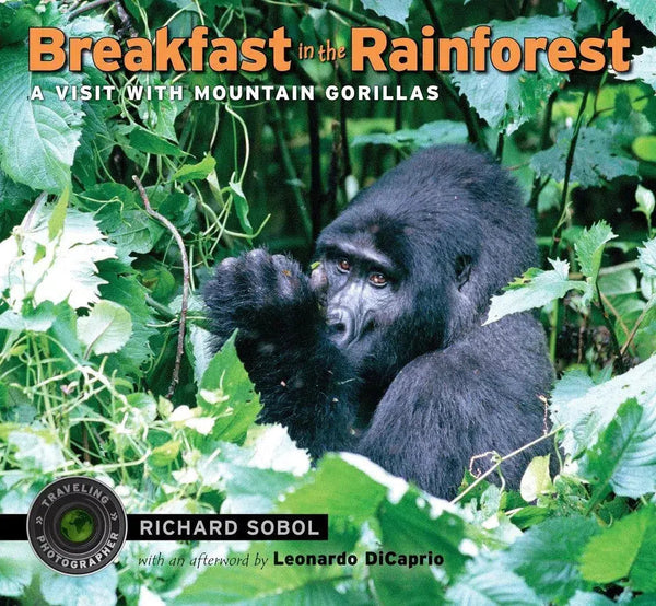 Breakfast in the Rainforest-Children’s / Teenage general interest: Places and peoples-買書書 BuyBookBook