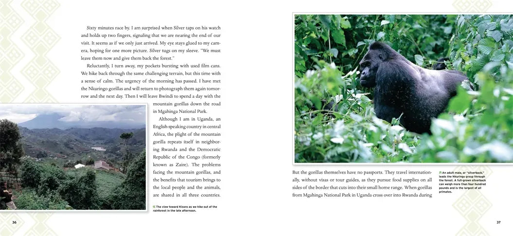 Breakfast in the Rainforest US - Paperback / softback
