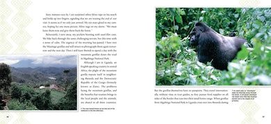 Breakfast in the Rainforest US - Paperback / softback