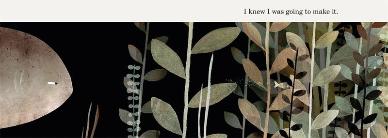 This Is Not My Hat US - Hardback