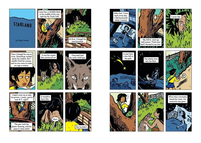 Comics Confidential US - Hardback