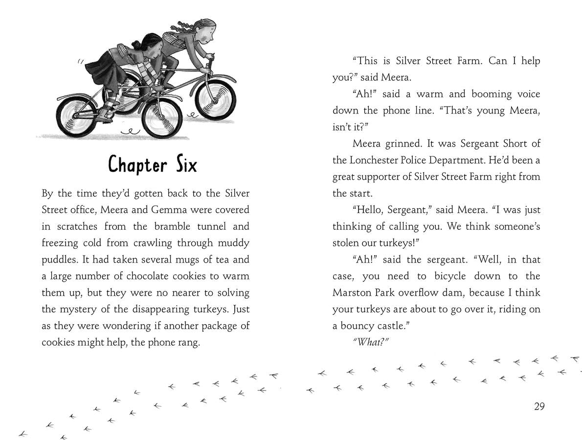 Escape from Silver Street Farm US - Hardback