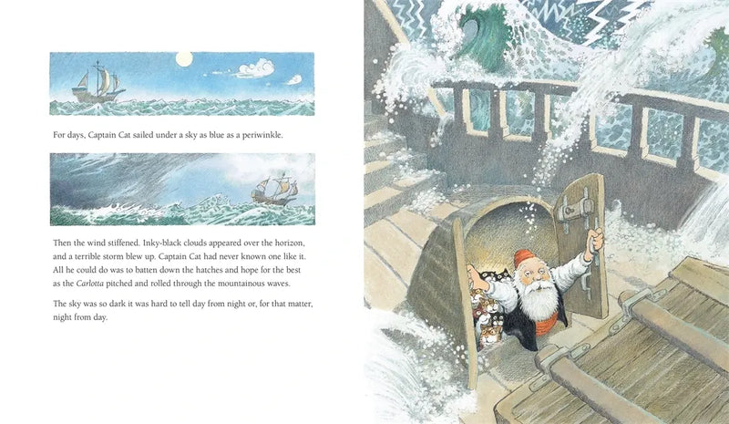 Captain Cat US - Hardback