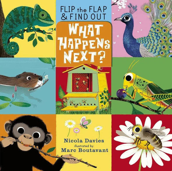 What Happens Next?-Children’s / Teenage general interest: Nature and animals-買書書 BuyBookBook