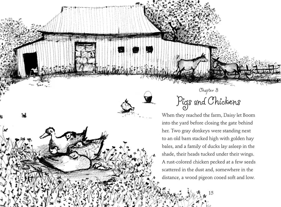 Daisy Dawson on the Farm US - Paperback / softback
