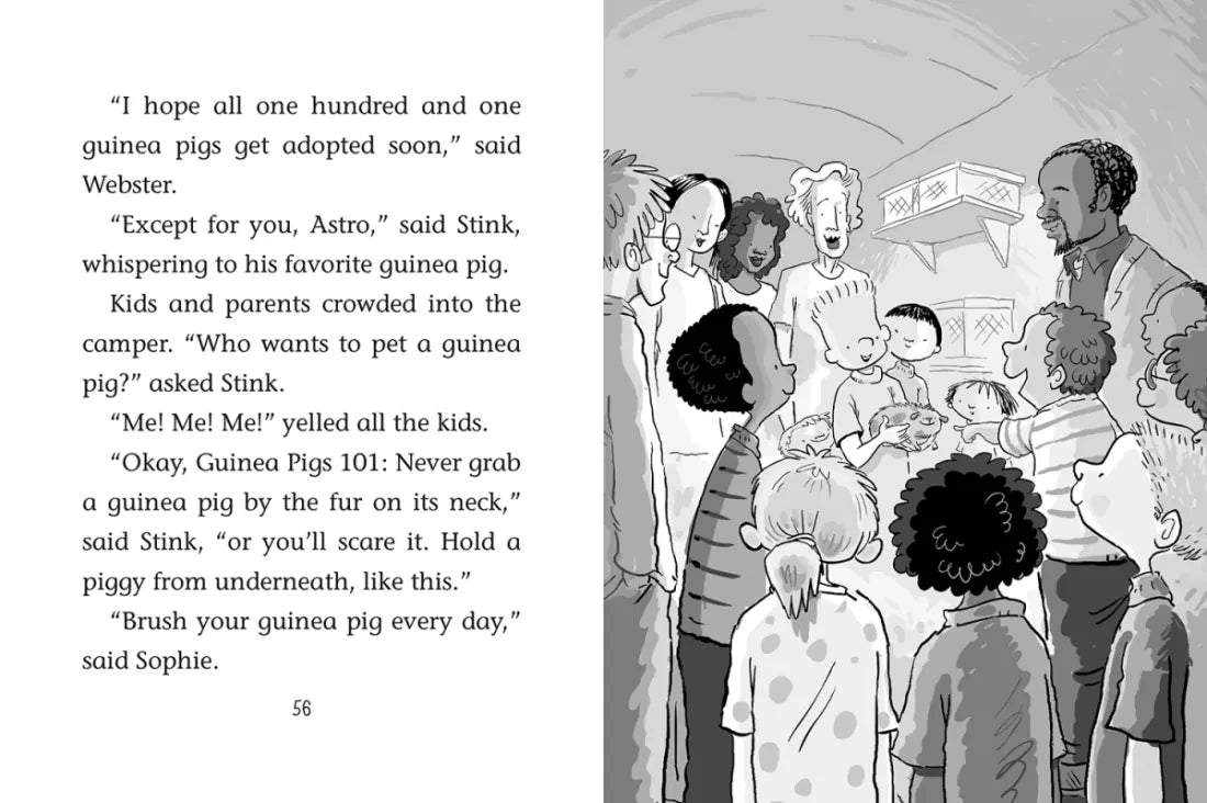 Stink and the Great Guinea Pig Express US - Hardback