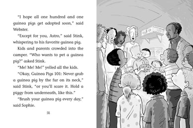 Stink and the Great Guinea Pig Express US - Hardback