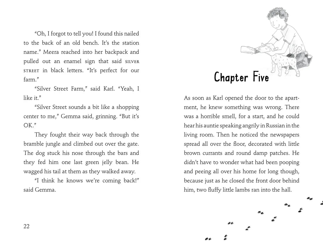 Welcome to Silver Street Farm US - Paperback / softback