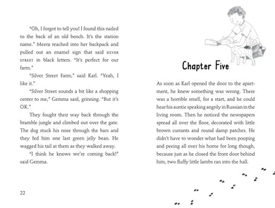 Welcome to Silver Street Farm US - Paperback / softback