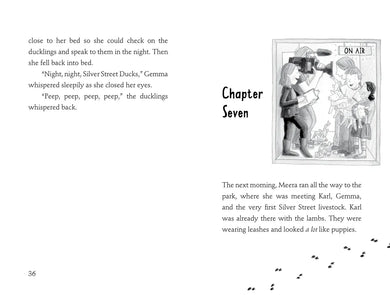 Welcome to Silver Street Farm US - Paperback / softback