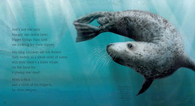 See What a Seal Can Do US - Hardback
