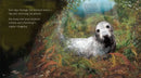 See What a Seal Can Do US - Hardback