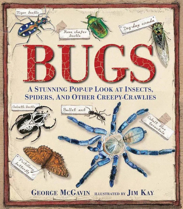 Bugs-Children’s / Teenage general interest: Nature and animals-買書書 BuyBookBook