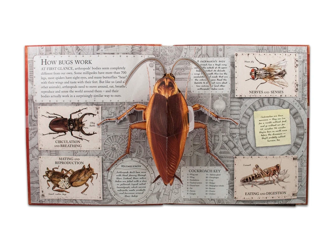Bugs US - Hardback