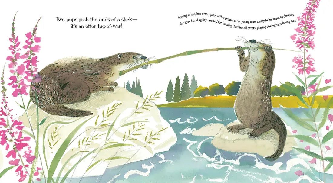 Otters Love to Play US - Hardback