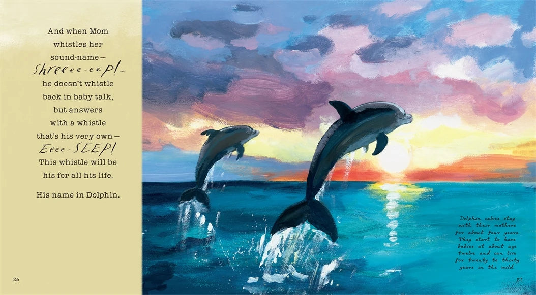 Dolphin Baby! US - Paperback / softback