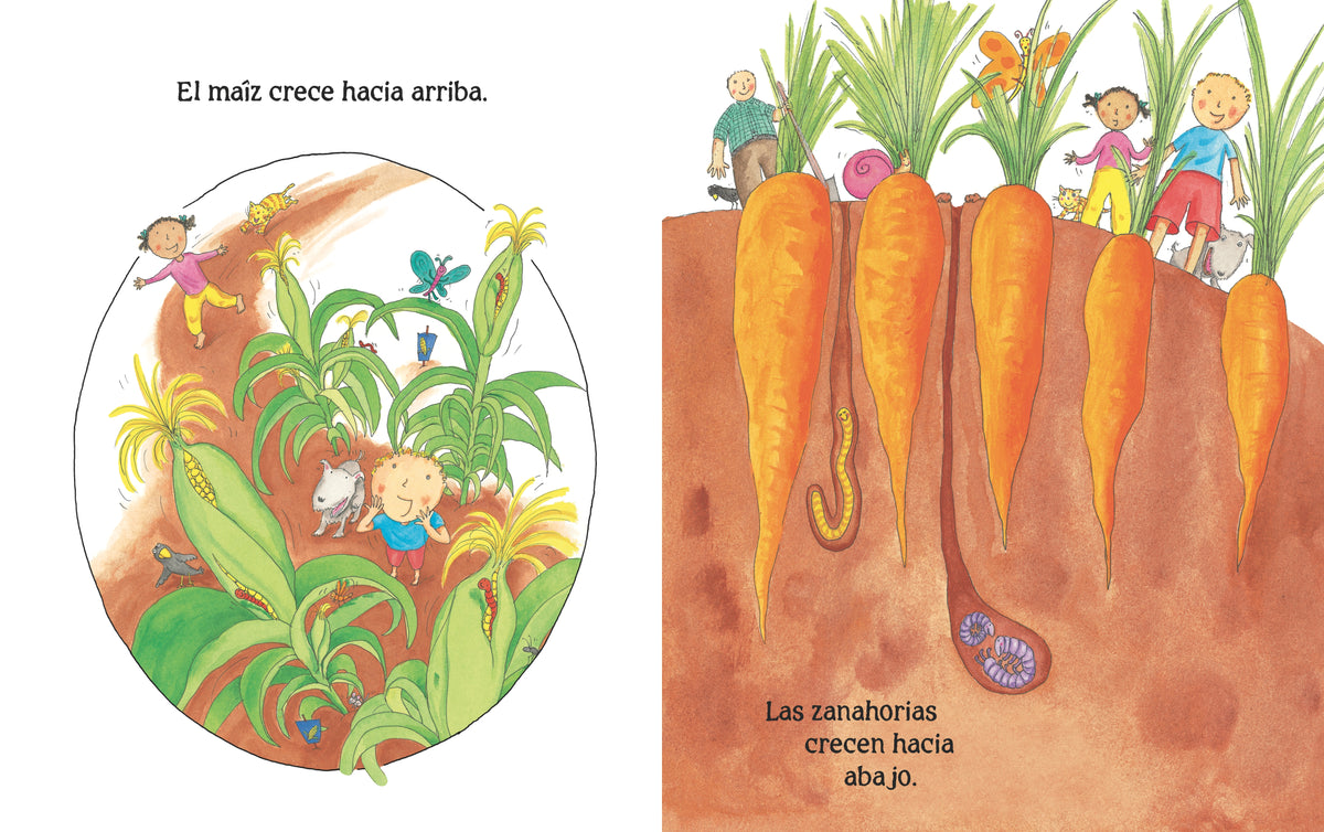 Arriba, Abajo y Alrededor interior 2 (ISBN 9780763670566)