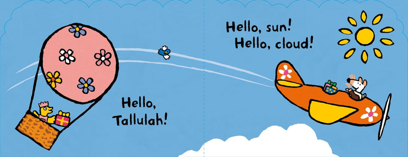 Maisy's Plane US - Board book