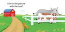 Hide and Seek Harry on the Farm US - Board book